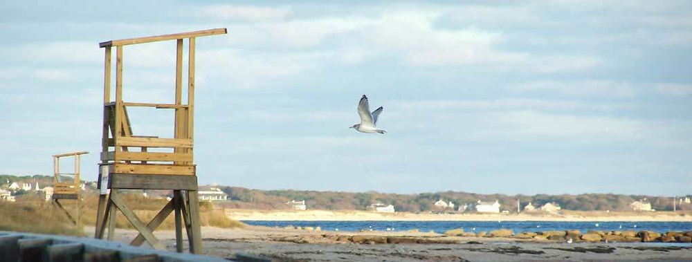 Handkerchief Shoals Inn South Harwich Εξωτερικό φωτογραφία